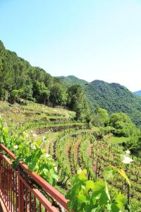 Country House Dajkovic