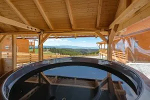 Cabana Dominic - Bogdăneşti