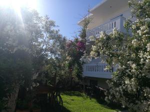 PALEOCHORA FINIKAS Apartments