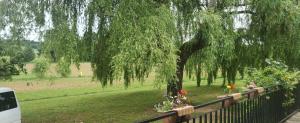 Maisons de vacances Beautiful 4 bedroom property near to Monflanquin : photos des chambres