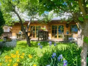 Mountainspirit - Hollenzen