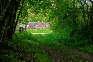 Maisons d'hotes Ideal en solo, Coeur du Perche,Moulin de Boiscorde : photos des chambres