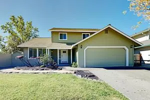 Summer Oasis - Mark West Springs