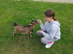 Campings Camping Saint Laurent : photos des chambres