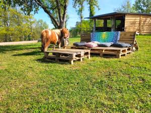 Luxe safarilodgetent met boxspring bedden