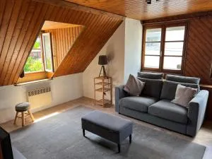 Top Floor Apartment with Mountain Views in the centre of Argeles Gazost - Salles