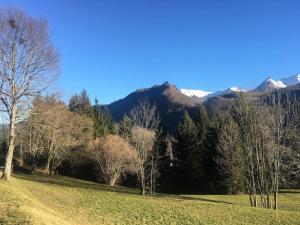 Top Floor Apartment with Mountain Views in the centre of Argeles Gazost