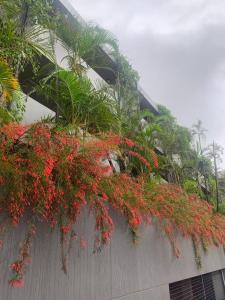 Coastal Condo in a Forest Estate - with inverter