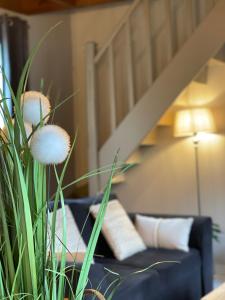 Maisons de vacances Les Mouettes : photos des chambres