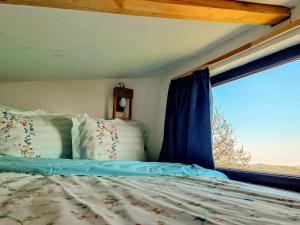 Tiny House Retreat Bran