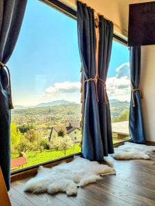 Tiny House Retreat Bran