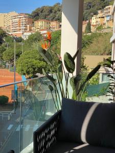 Appartements Baie Marquet frontiere Monaco : photos des chambres