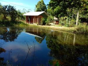 Albertico Jungle House