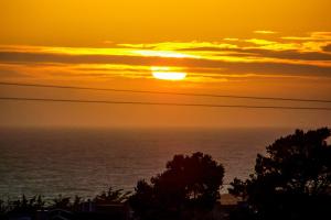 All Decked Out in Cambria