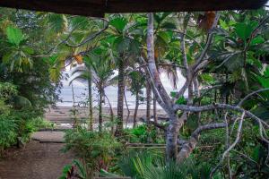 The Pelican House Hostel