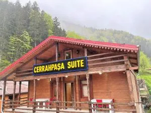CERRAHPAŞA SUİTE HOTEL - 乌宗