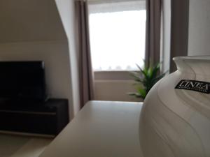 Apartment am Südpark Erfurt - inkl Garten mit Sitzlounge - zentrumsnah