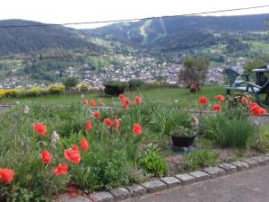 Maisons de vacances Gite Gerardmer, 3 pieces, 4 personnes - FR-1-589-402 : photos des chambres