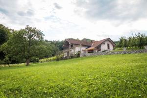 Holiday home in Smarjeske Toplice Kranjska Krain 42904 