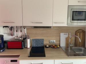 Studio Climatisé à Banyuls-sur-Mer, Terrasse, WIFI, Proche Plage - FR-1-309-323