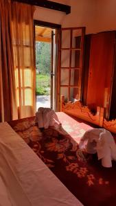 SERENGETI NAP comfy rooms