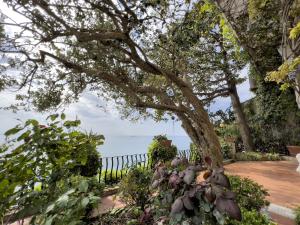 Suite King con Vista Mare