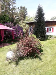 Ferienhaus am Langen See