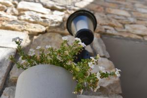 Apartment Loro with Jacuzzi