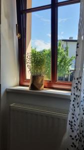 Apartma Bovec Center 