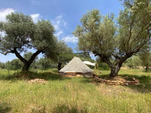 Bellissima Bell tent