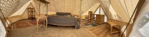 Paraiso Bell Tent