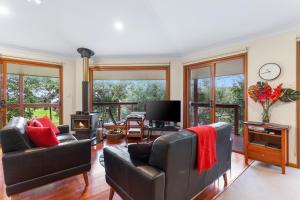 Ravensbourne Escape-Tree Tops