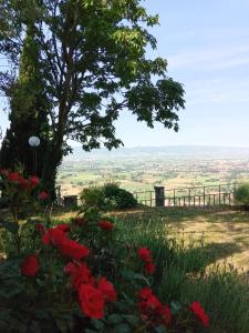 Residenza Messer Pajola