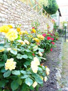 Residenza Messer Pajola