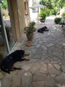 Appartements Cap au Sud Sweet home : photos des chambres