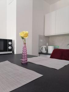 Leona apartment Vidikovac, Pula