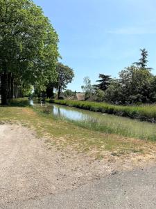 Maisons de vacances Hameau de Trevety, proche Zoo de Beauval : photos des chambres