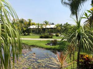 Huayacán Cuernavaca Curamoria Collection