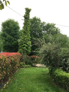 LA CASA DE LOS GÜELOS