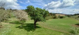 Lodges Studio nature a la ferme : photos des chambres