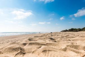 **Con Club de Playa y Alberca : Hasta 18 huéspedes**