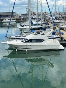 Beautiful 4 Berth Boat on the Isle of Wight