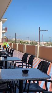 Hotel Alexander Resort