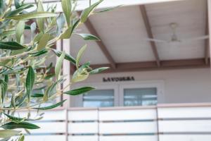 Mobile Home whit sea view LAVOJESA