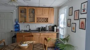 Beautiful and Cozy Home in Binghamton - Afton