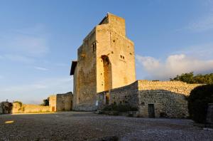 Hotels Les Hospitaliers : photos des chambres