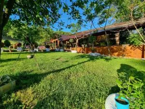 Lângă Stână - Vîlsăneşti