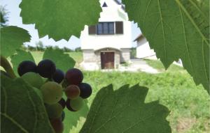 Ferienhaus Deutsch Schuetzen