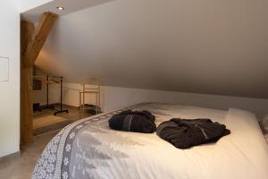 Appartements Gite du Silberwald charmant gite avec spa - jacuzzi , acces privatif : photos des chambres