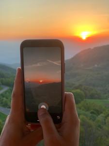 Milmari apartman N67 MAVI